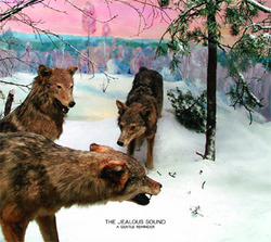 The Jealous Sound "Gentle" CD